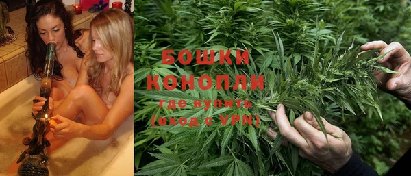 соль ск Дмитров