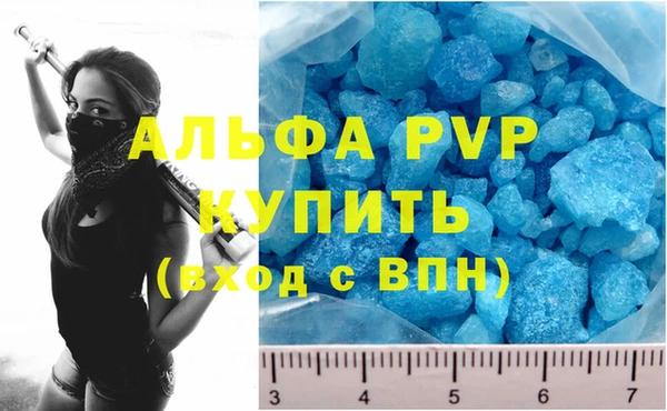 мяу мяу мука Дмитриев