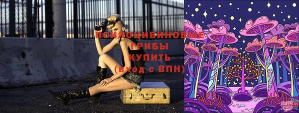 мяу мяу мука Дмитриев